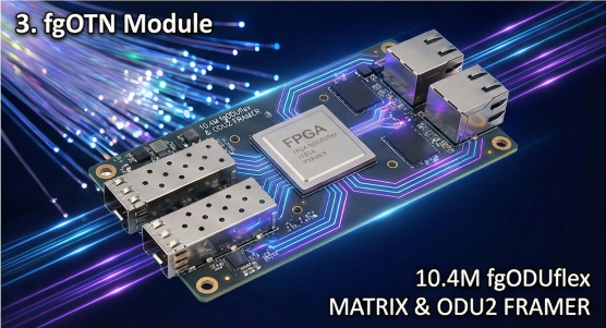 fgOTN Hardware Module